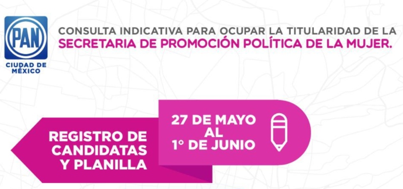 Consulta Iniciativa Para Ocupara la Secretaría de Promoción Política de la Mujer
