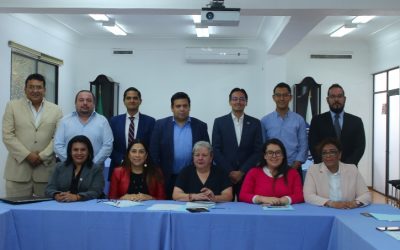 Reunión del Comité Directivo Regional