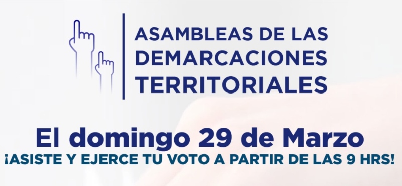 Asambleas de las Demarcaciones Territoriales