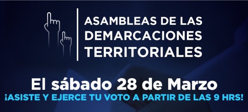 Asambleas de las Demarcaciones Territoriales