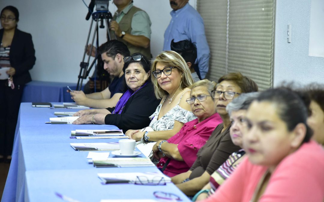 Conferencia Violencia Política en razón de Genero