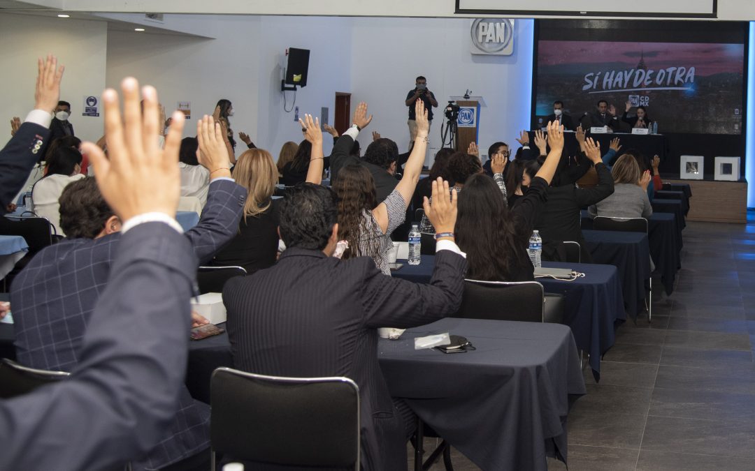 El Presidente Andrés Atayde convocó a las y los Integrantes del Consejo Regional del Partido Acción Nacional en la Ciudad de México a sesión ordinaria.