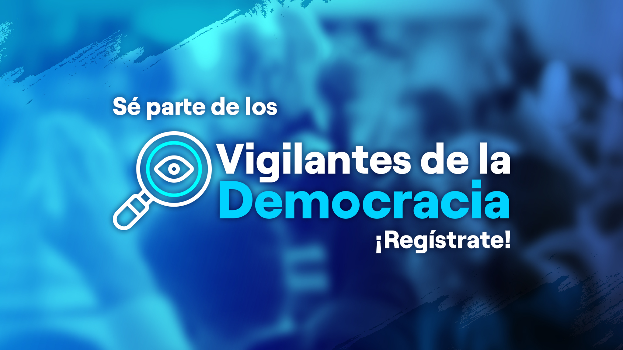 VIGILANTES DE LA DEMOCRACIA