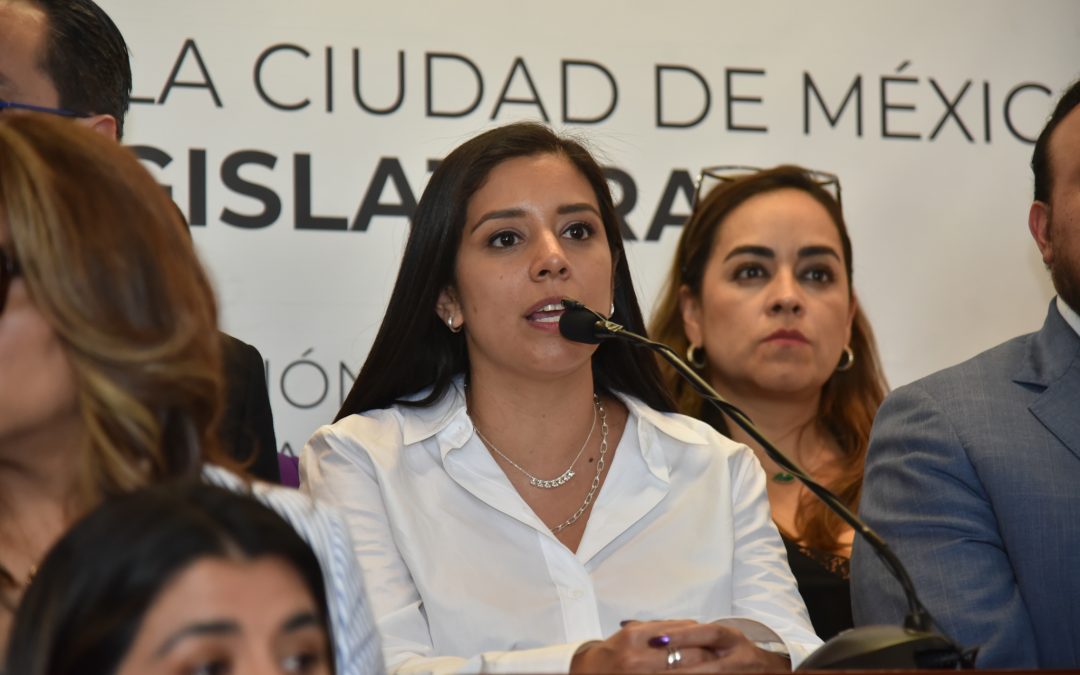 Conferencia de Prensa en el Congreso