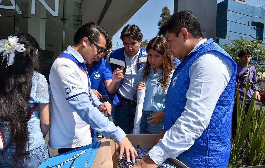INSERVIBLES, PROTOCOLOS CONTRA ABUSO Y VIOLENCIA ESCOLAR CDMX: PANISTAS