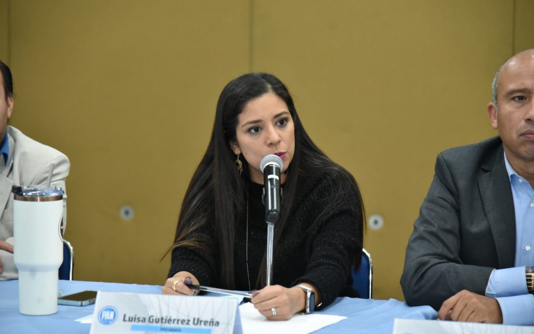 ELECCIÓN JUDICIAL: EL PAN CDMX DEMOSTRÓ MÁS VALOR Y DETERMINACIÓN EN SU VOCACIÓN DEMOCRÁTICA.