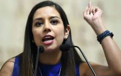 LUISA GUTIÉRREZ  CUESTIONA A SEGOB ALCANCES DEL MECANISMO DE PROTECCIÓN A PERIODISTAS