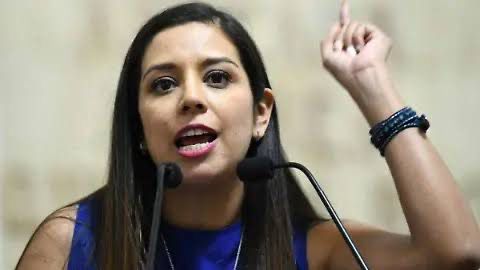 LUISA GUTIÉRREZ  CUESTIONA A SEGOB ALCANCES DEL MECANISMO DE PROTECCIÓN A PERIODISTAS