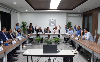 Sesión de trabajo del Comité Directivo Regional