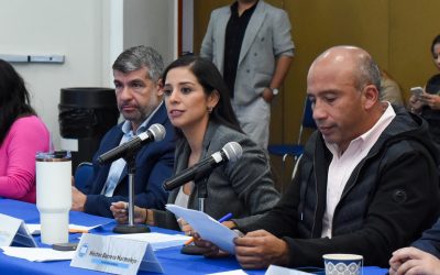 Sesión de trabajo de la Comisión Permanente