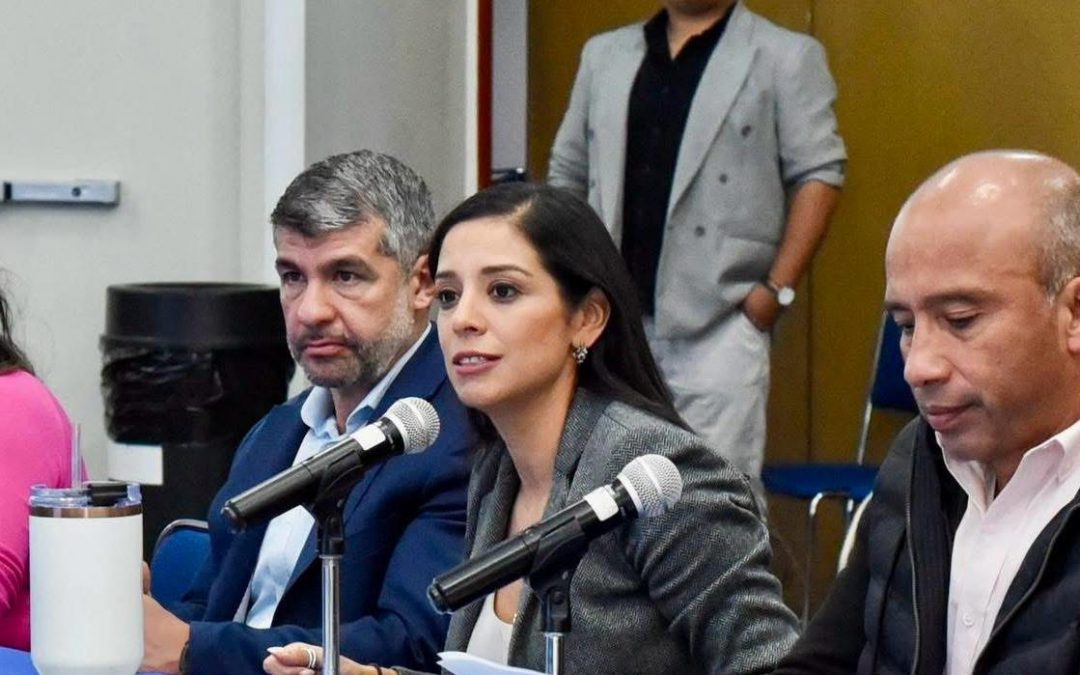 ACTIVA PAN CDMX COMITÉS DELEGACIONES Y SU SEDE REGIONAL PARA RECOLECCIÓN DE VÍVERES