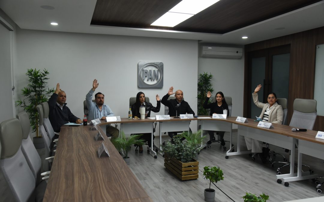 Sesión de trabajo del Comité Directivo Regional