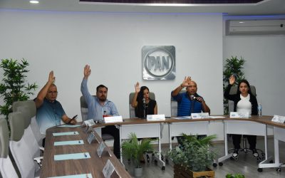 Sesión de trabajo del Comité Directivo Regional