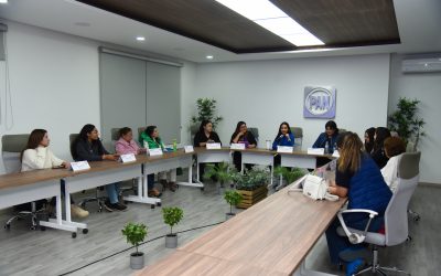 Sesión de trabajo del Comité Directivo Regional