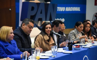 Conferencia de prensa en el CEN