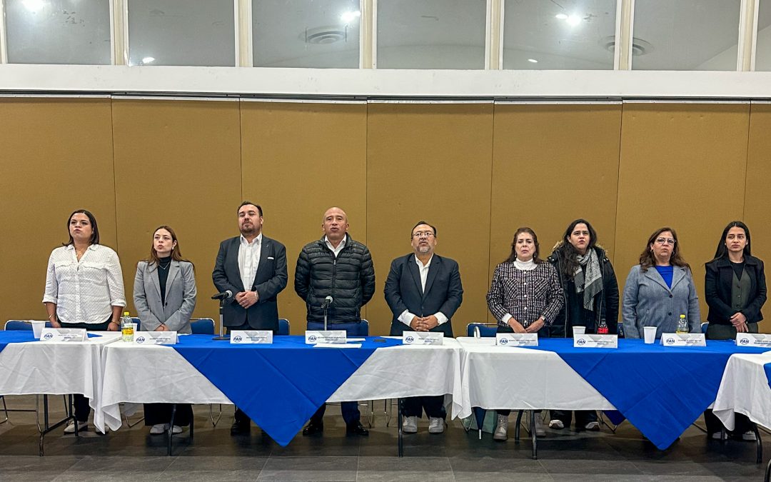 Sesión de trabajo del Comité Directivo Regional