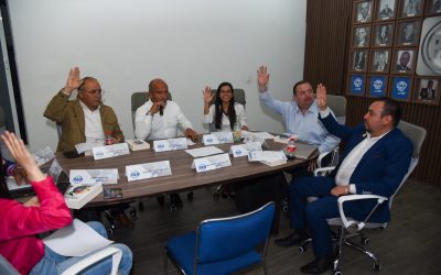 Sesión de trabajo del Comité Directivo Regional