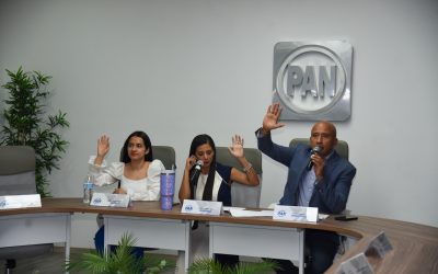 Sesión de trabajo del Comité Directivo Regional