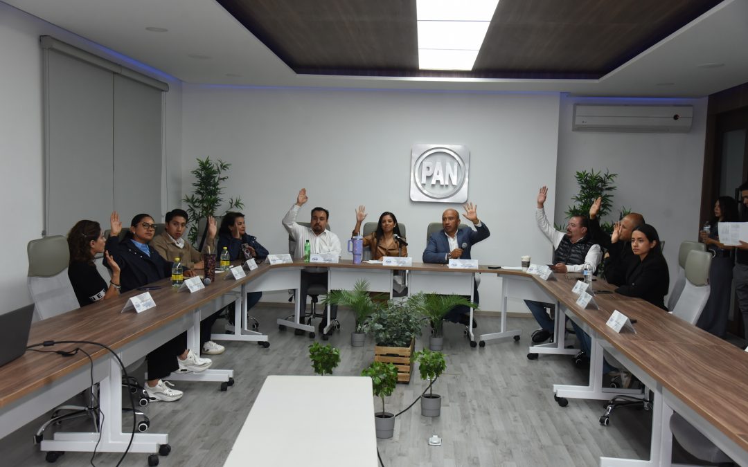 Sesión de trabajo del Comité Directivo Regional