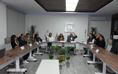 Sesión de trabajo del Comité Directivo Regional