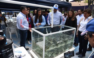 Expo Campo en Huajuapan de León, Oaxaca