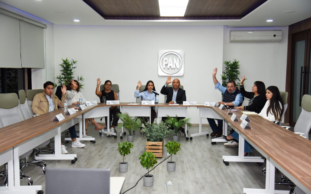 Sesión extraordinaria de trabajo del Comité Directivo Regional