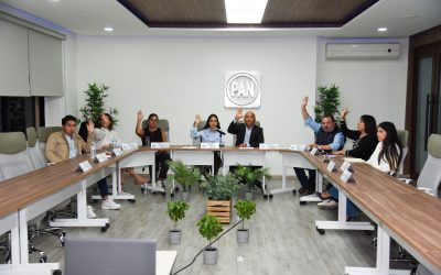 Sesión extraordinaria de trabajo del Comité Directivo Regional