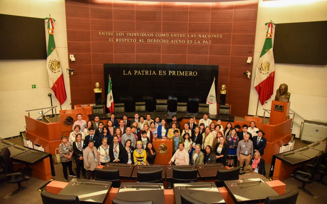 Visita guiada al Senado de la República