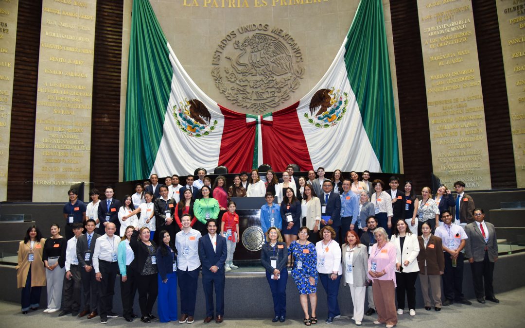 Visita guiada a la Cámara de Diputados