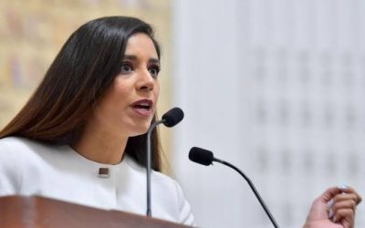LUISA GUTIÉRREZ ALERTA SOBRE VENTA FORZOSA DE TERRENOS PREVISTA EN EL PROGRAMA DE ORDENACIÓN DE LA ZONA METROPOLITANA DEL VALLE DE MÉXICO