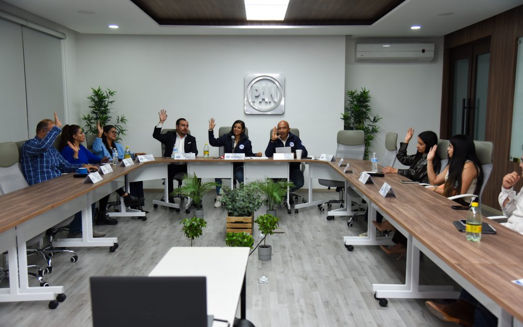 Sesión de trabajo del Comité Directivo Regional